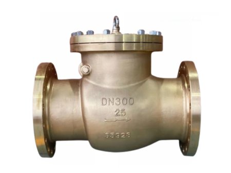 C95800 Bronze Swing Check Valve, Industrial Marine Pipeline Valve Bronze Swing Check Valve, Threaded & Flanged for Marine Seawater Pipeline System - Image 1