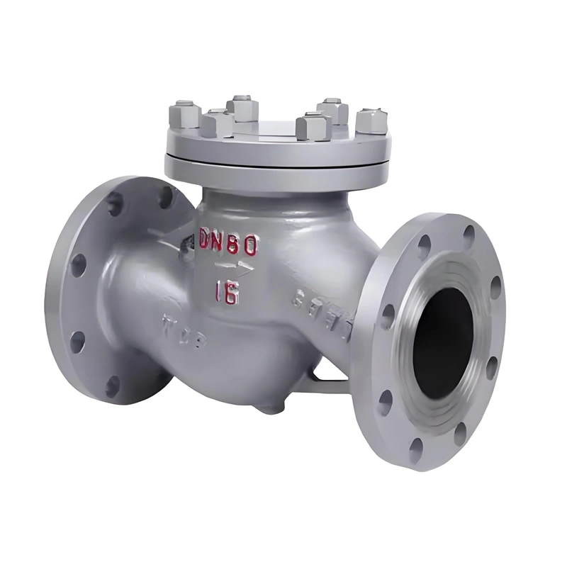 WCB DIN Lift Check Valve DIN Lift Check Valve PN16-PN40 Flanged for Industrial Pipeline System - Image 1