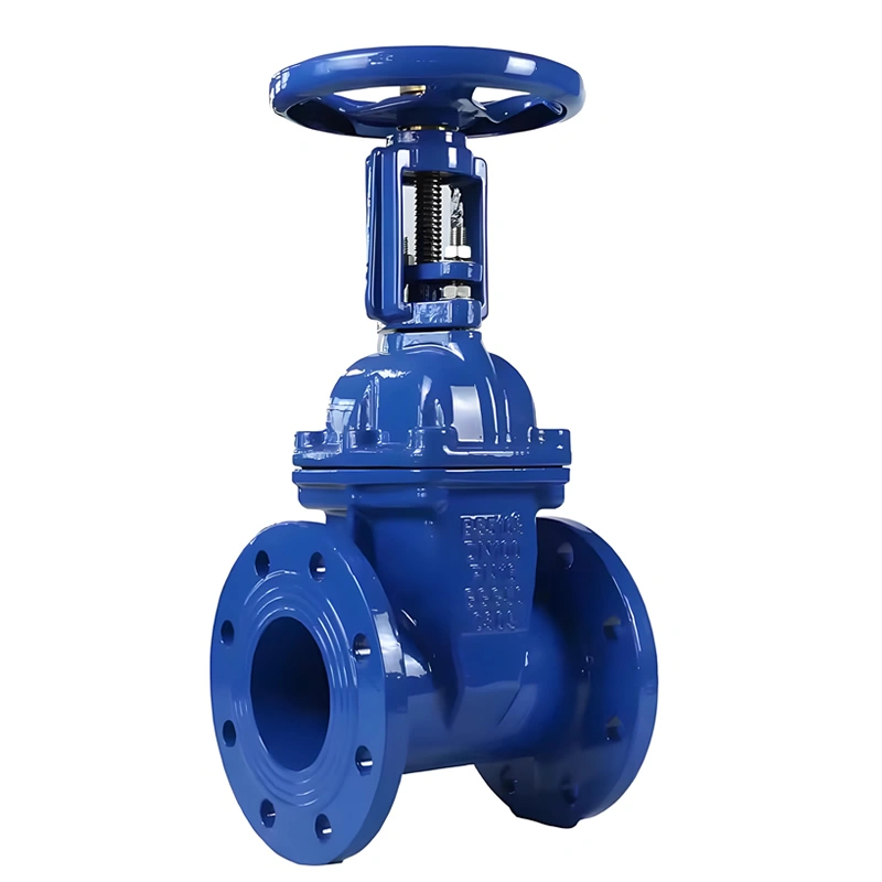 gate valve11 DIN Soft Seal Gate Valve PN16-PN40 Flanged for Industrial Pipeline System - Image 1